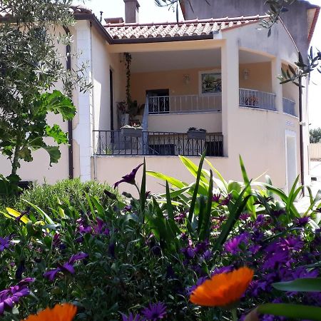 Вилла Casa Dos Amigos Ансьян Экстерьер фото